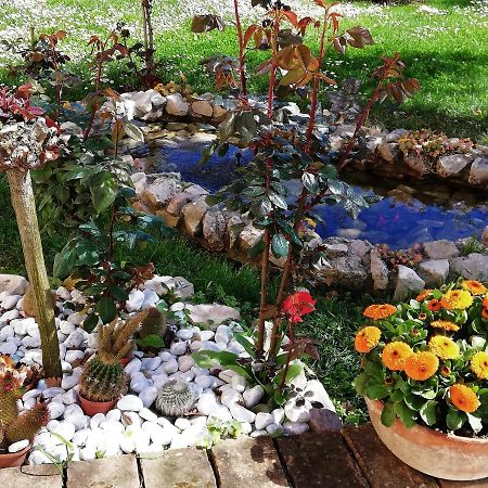 La Ginestra Bed & Breakfast Sirolo Exterior foto