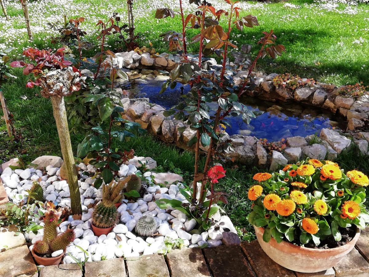 La Ginestra Bed & Breakfast Sirolo Exterior foto