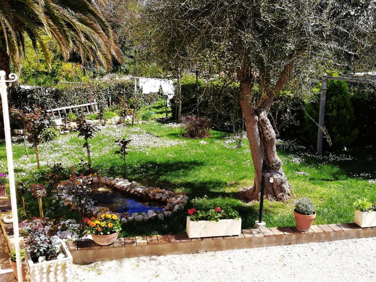 La Ginestra Bed & Breakfast Sirolo Exterior foto